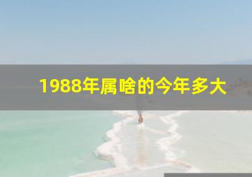 1988年属啥的今年多大