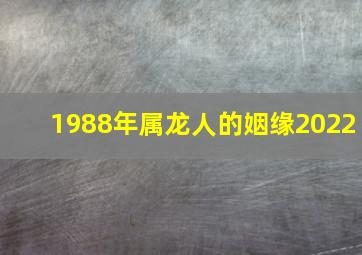 1988年属龙人的姻缘2022