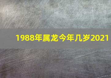 1988年属龙今年几岁2021