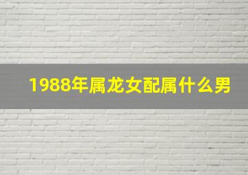 1988年属龙女配属什么男