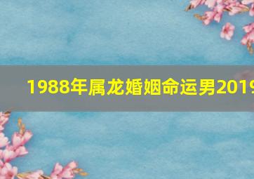 1988年属龙婚姻命运男2019