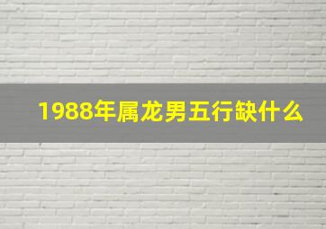 1988年属龙男五行缺什么