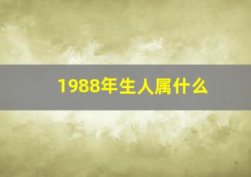 1988年生人属什么