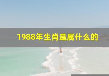 1988年生肖是属什么的