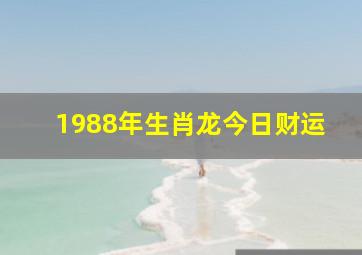 1988年生肖龙今日财运