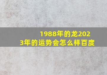 1988年的龙2023年的运势会怎么样百度