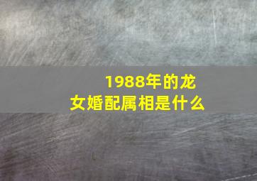 1988年的龙女婚配属相是什么