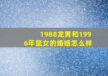 1988龙男和1996年鼠女的婚姻怎么样