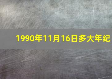 1990年11月16日多大年纪