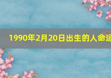 1990年2月20日出生的人命运