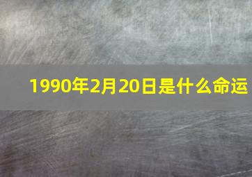 1990年2月20日是什么命运