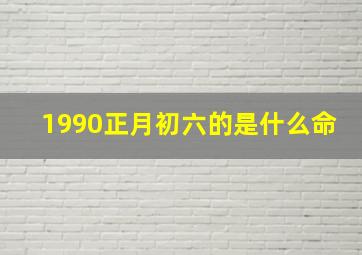 1990正月初六的是什么命