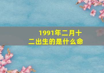 1991年二月十二出生的是什么命