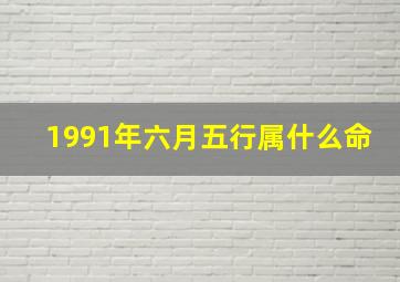 1991年六月五行属什么命