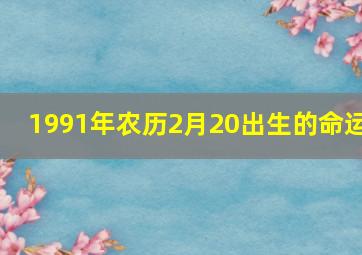 1991年农历2月20出生的命运