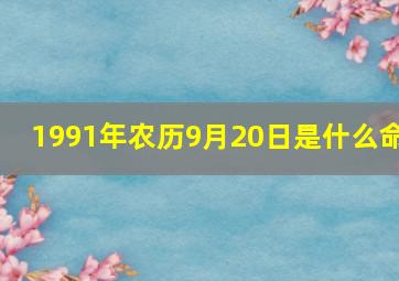 1991年农历9月20日是什么命