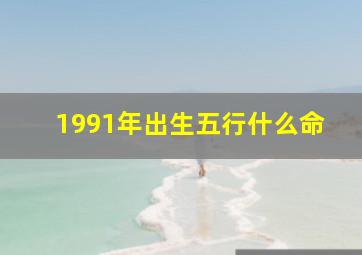 1991年出生五行什么命