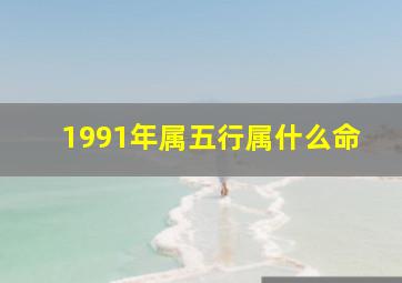 1991年属五行属什么命