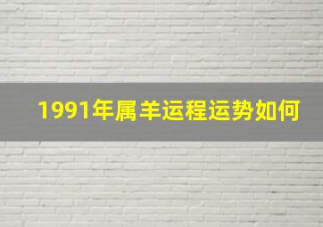 1991年属羊运程运势如何