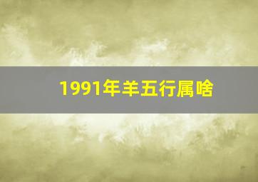 1991年羊五行属啥