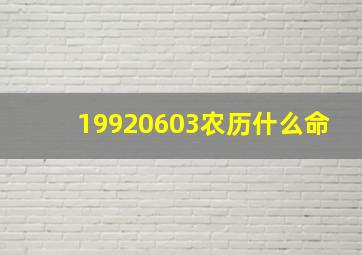 19920603农历什么命