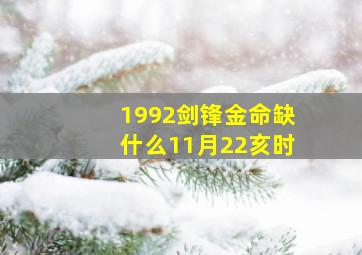 1992剑锋金命缺什么11月22亥时