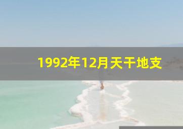 1992年12月天干地支