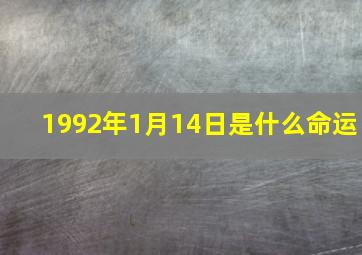 1992年1月14日是什么命运