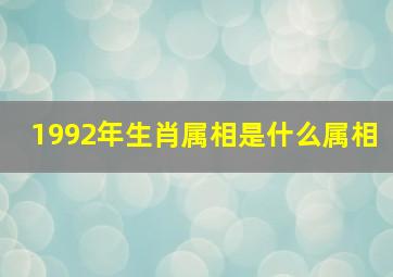 1992年生肖属相是什么属相