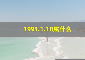 1993.1.10属什么