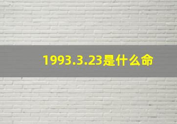 1993.3.23是什么命