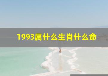 1993属什么生肖什么命