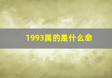 1993属的是什么命