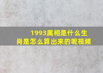 1993属相是什么生肖是怎么算出来的呢视频