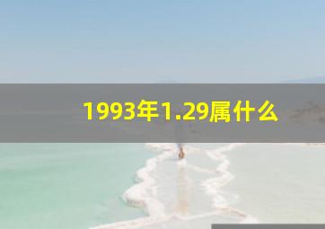 1993年1.29属什么