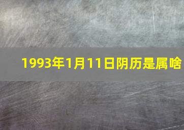 1993年1月11日阴历是属啥