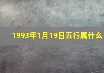 1993年1月19日五行属什么