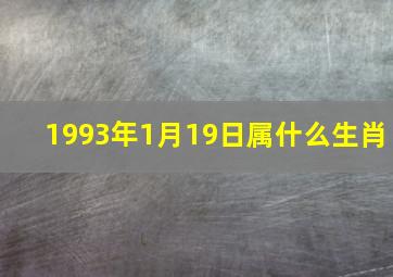 1993年1月19日属什么生肖