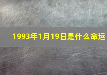 1993年1月19日是什么命运