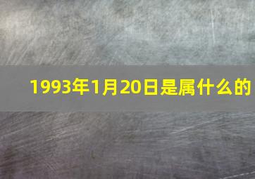 1993年1月20日是属什么的