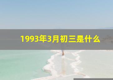 1993年3月初三是什么