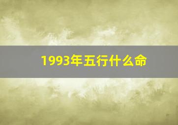 1993年五行什么命