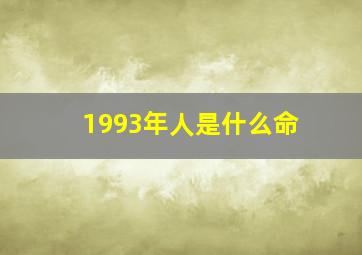 1993年人是什么命