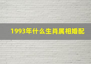 1993年什么生肖属相婚配