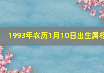 1993年农历1月10日出生属相