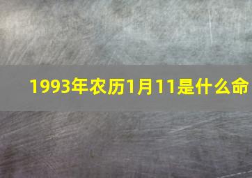 1993年农历1月11是什么命