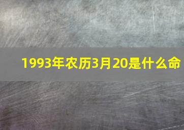 1993年农历3月20是什么命