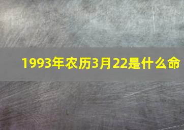 1993年农历3月22是什么命