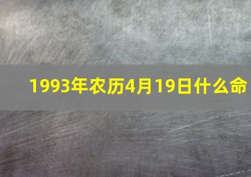 1993年农历4月19日什么命