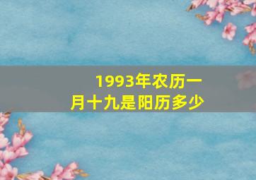 1993年农历一月十九是阳历多少